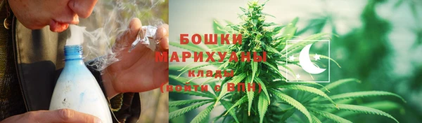 прущие грибы Абдулино