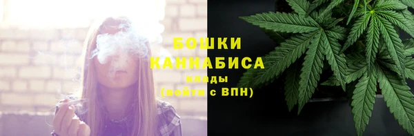 прущие грибы Абдулино