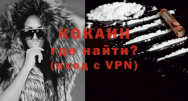 гашик Абаза