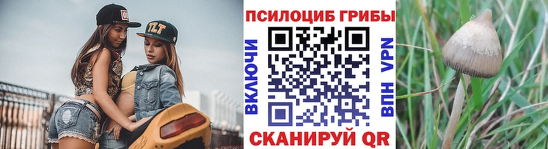 Псилоцибиновые грибы мицелий Сочи